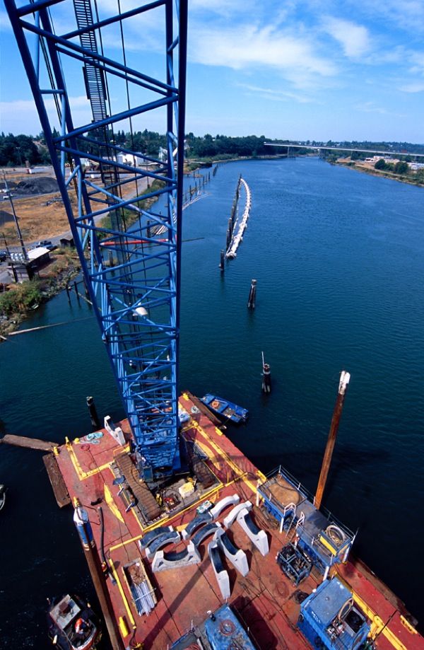 Kimberly Clark Deep Water Outfall/Intertidal