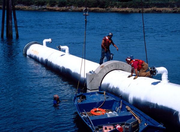 Kimberly Clark Deep Water Outfall/Intertidal