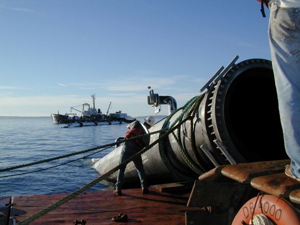 Kimberly Clark Deep Water Outfall/Intertidal