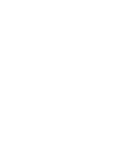 Advanced American Construction
