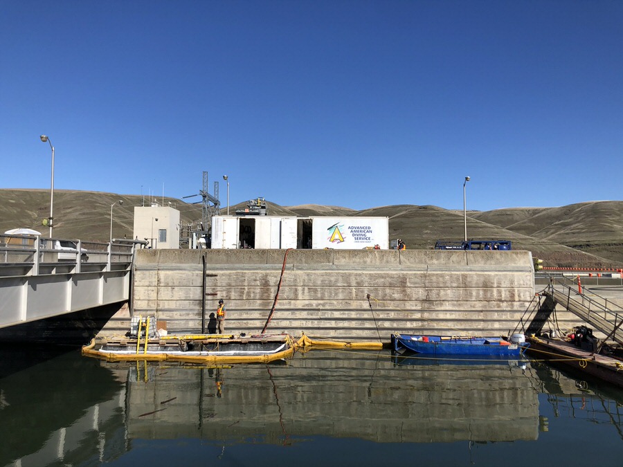 Little Goose Dam Navlock Leak Sealing