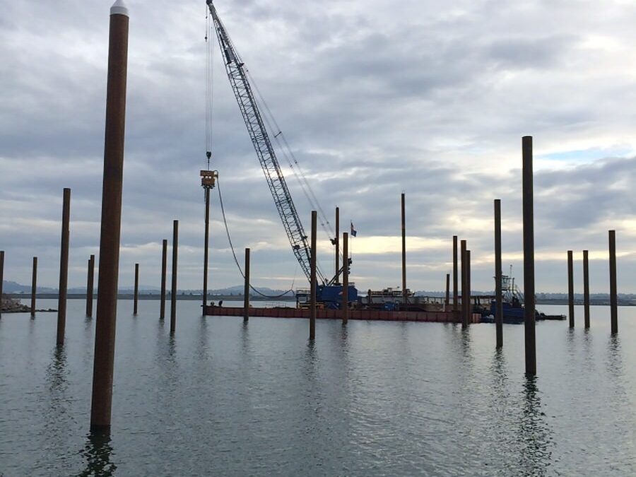 Tidewater Cove Marina