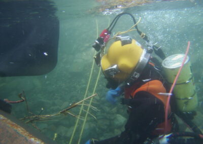 2020 Diving Projects