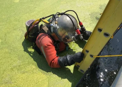 2021 Diving Projects