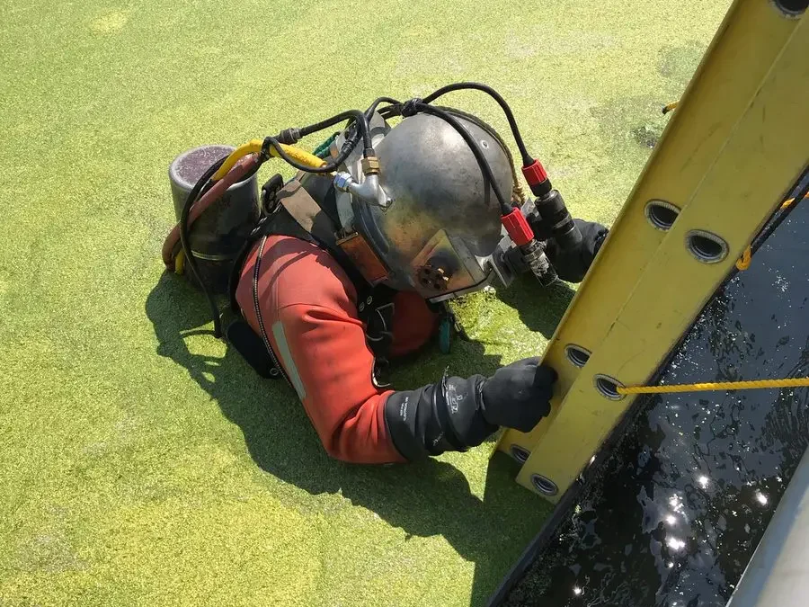 2021 Diving Projects