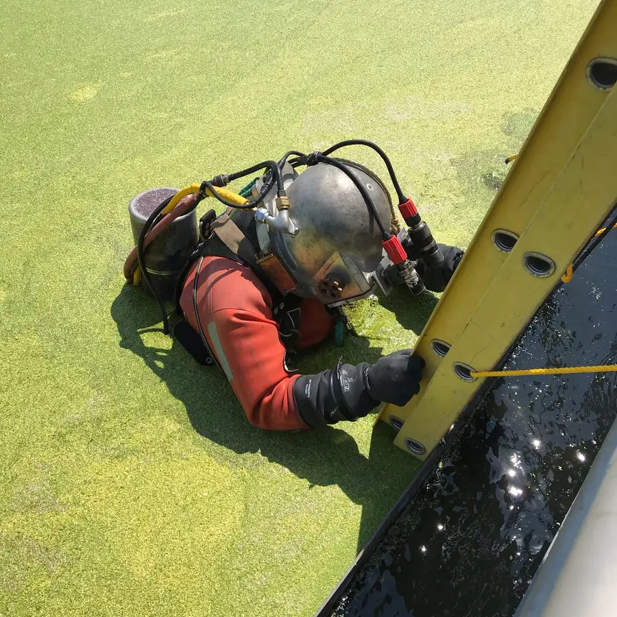 2021 Diving Projects