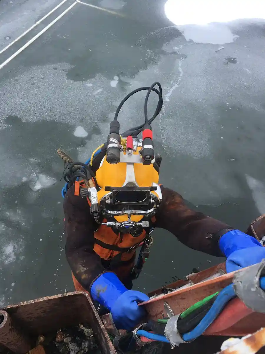 2019 Diving Projects