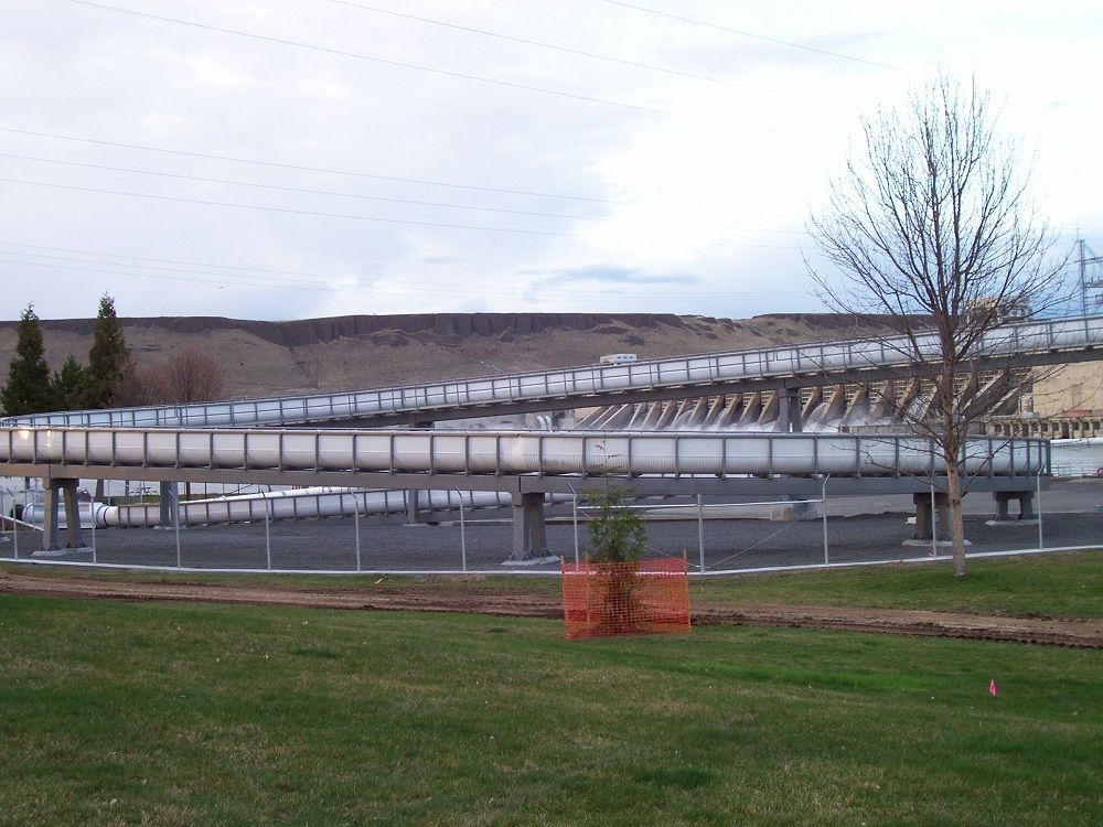 McNary 4