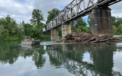 Debris Clearance in Albany, Oregon