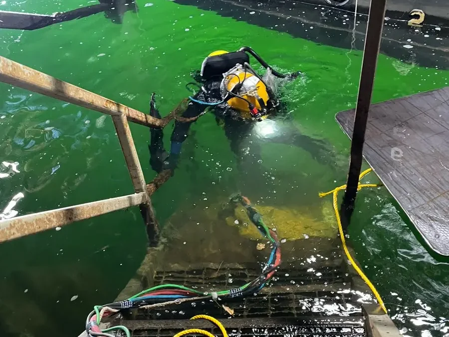 2022 Diving Projects