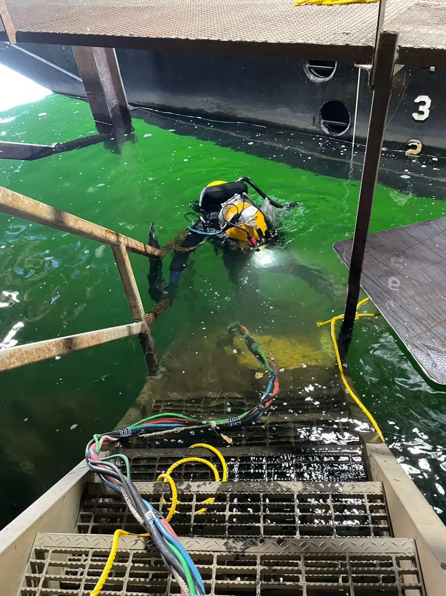 2022 Diving Projects